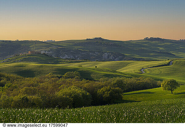 Italy  Province of Siena  Meadow in Val dOrcia at springtime dusk