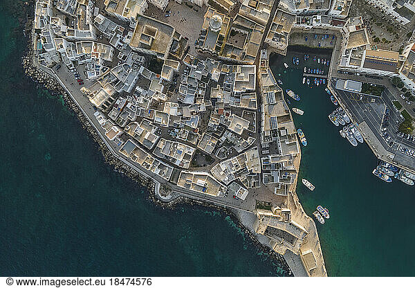 Italy  Puglia  Monopoli  Aerial view of coastal old town