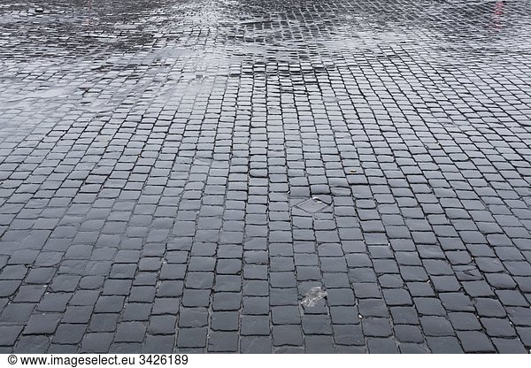 Italy  Rome  Rain-soaked pavement  full frame