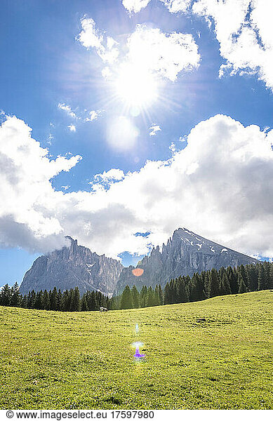 Italy  South Tyrol  Seiser Alm plateau on sunny summer day