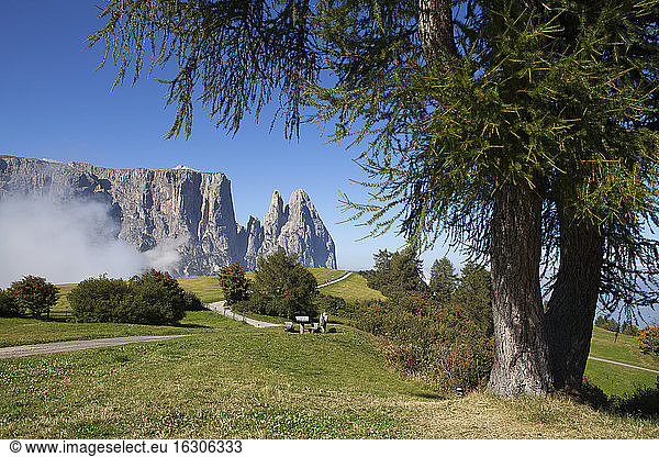 Italy  South Tyrol  Seiseralm and Schlern group