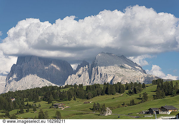 Italy  South Tyrol  Seiseralm  Plattkofel and Langkofel