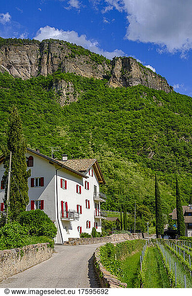 Italy  South Tyrol  Terlan  Hochbrunner hotel in summer with mountain in background