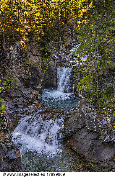 Italy  Trentino-Alto Adige  Waterfall in Paneveggio forest at dawn