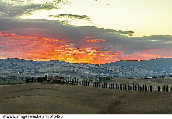 Italy  Tuscany  Castiglione d'Orcia  Rolling landscape Val d'Orcia at moody dawn