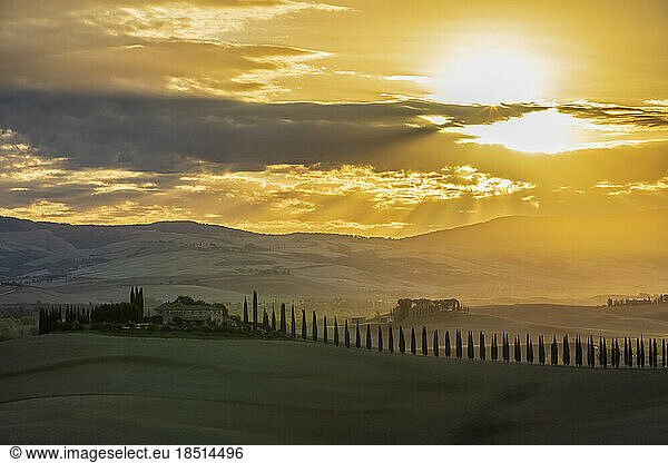 Italy  Tuscany  Castiglione d'Orcia  Sun rising over line of cypress trees in Val d'Orcia