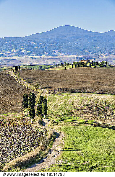 Italy  Tuscany  Pienza  Country road in Val dOrcia