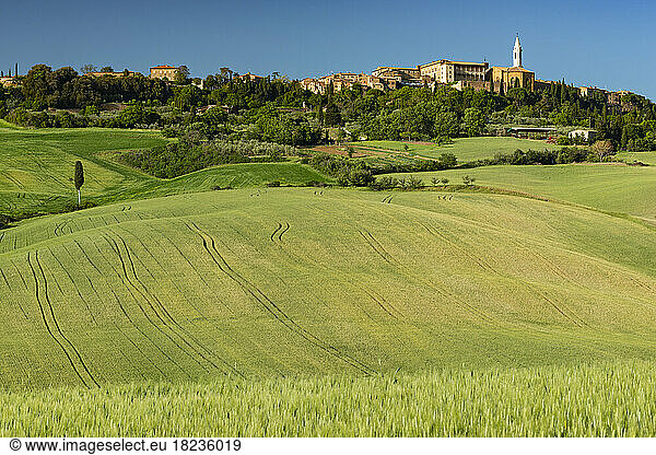 Italy  Tuscany  Pienza  Green rolling landscape of Val dOrcia