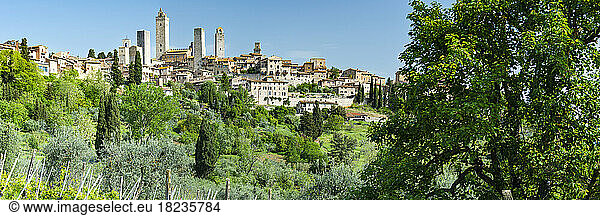Italy  Tuscany  San Gimignano  Green trees in front of medieval town in summer