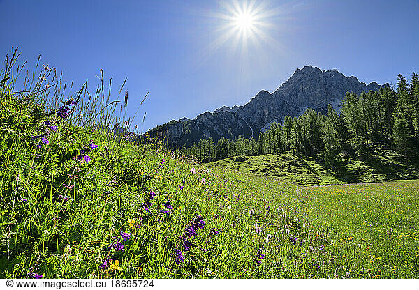 Italy  Veneto  Sun shining over alpine meadow in summer