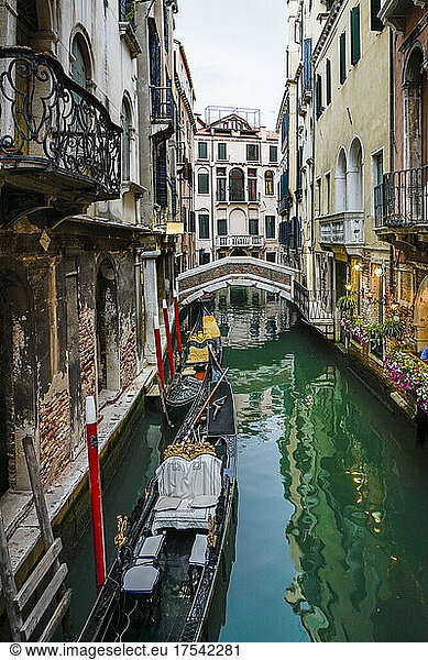 Italy  Veneto  Venice  Rio dei Bareteri canal