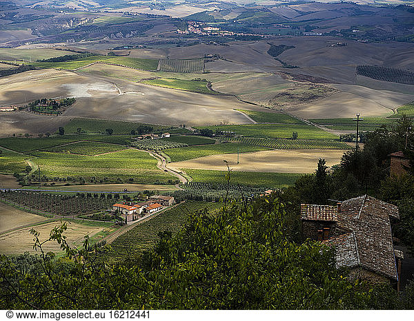 Italy  View of Tuscany from Montalcino