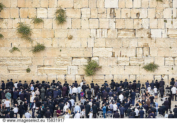 Jüdische Männer beten an der Westmauer  Jerusalem  Israel