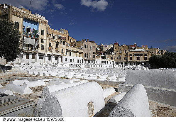Jüdischer Friedhof von Fes  Marokko  Nordafrika  Afrika