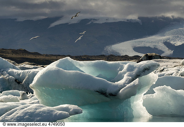 Jökulsarlon Gletscherlagune im Südwesten von Island Skandinavien Europa
