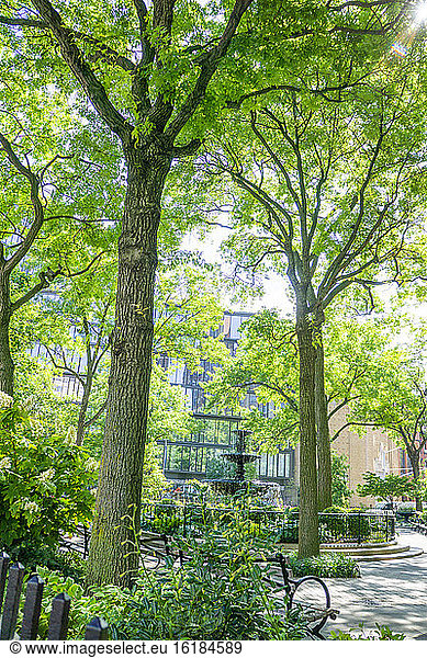 Jackson Square Park  West Village  New York City  New York  USA
