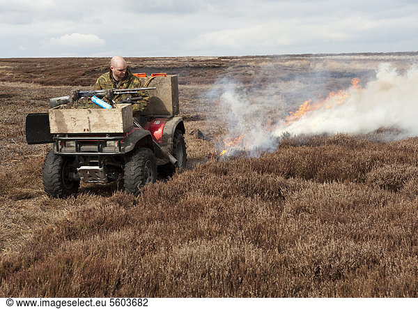 Jagdaufseher verbrennen Heidekraut in einer Heidelandschaft  um neues Wachstum für das Moorhuhn zu fördern  Arkengarthdale Moor  North Yorkshire  England  Großbritannien  Europa