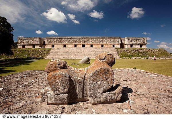 Jaguar, Panthera onca, Skulptur, Großstadt, Ausgrabungsstätte, Hintergrund, Palast, Schloß, Schlösser, Nordamerika, Mexiko, Maya, Jaguar, Uxmal