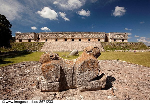 Jaguar Panthera onca Skulptur Großstadt Ausgrabungsstätte Hintergrund Palast Schloß Schlösser Nordamerika Mexiko Maya Jaguar Uxmal