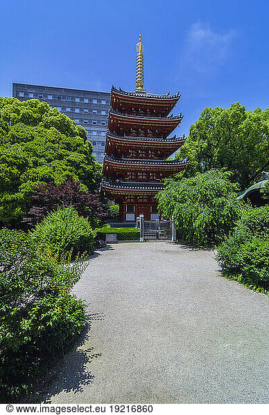 Japan  Fukuoka Prefecture  Fukuoka City  Tocho-ji temple in summer