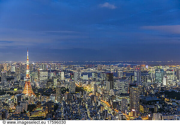 Japan  Kanto Region  Tokyo  City downtown at dusk