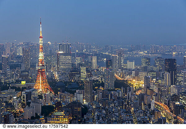 Japan  Kanto Region  Tokyo  City downtown at dusk with Tokyo Tower in foreground