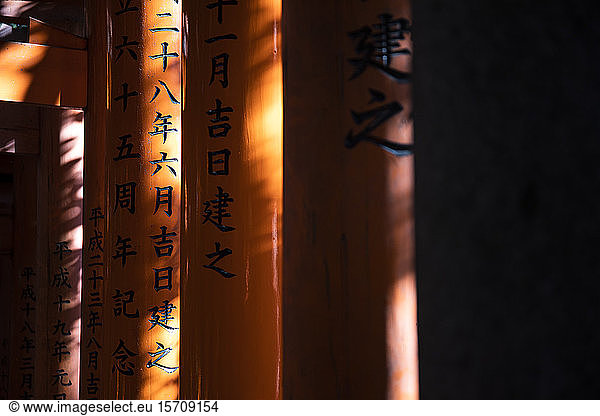 Japan  Kyoto Prefecture  Kyoto City  Kanji on torii gates leading to Fushimi Inari-taisha temple