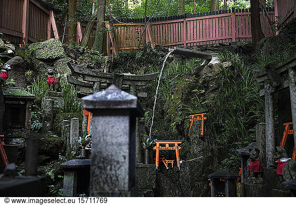 Japan  Kyoto Prefecture  Kyoto City  Offerings at Fushimi Inari-taisha temple