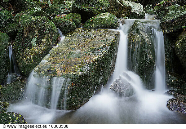 Japan  Yakushima  Wasserfall im Regenwald