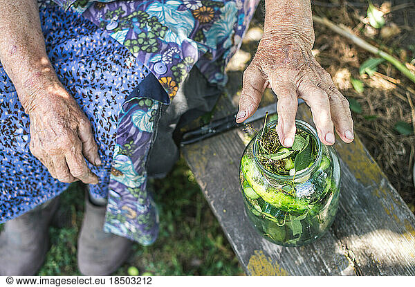 Jar of green pickles on old bench and great-grandmother