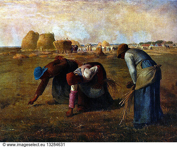 Jean Francois Millet Jean Francois Millet The Gleaners 1857 WHA 012   Image Stock Jean Francois Millet   The Gleaners        013284000 13284631 