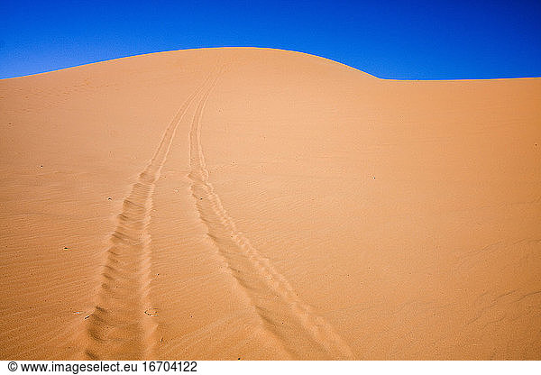 Jeep tracks on a trail at Coral Pink Sand Dunes State Park  Utah.