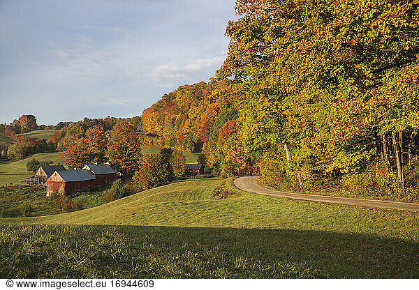 Jenne Farm an einem Herbstmorgen  Vermont  Neuengland  Vereinigte Staaten von Amerika  Nord-Amerika