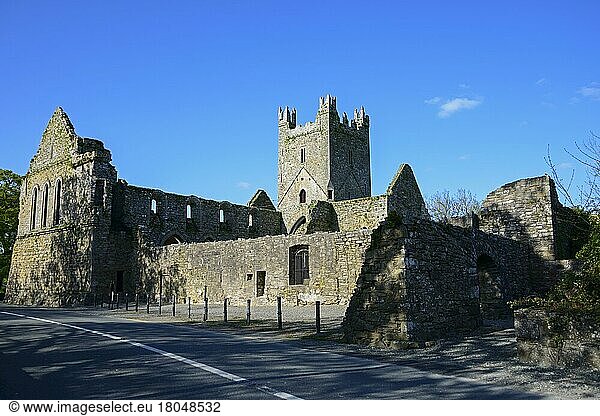 Jerpoint Abbey  Irland  Klosteranlage  Europa