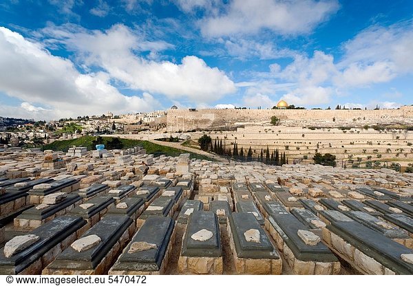 Jerusalem  Hauptstadt  Stadtmauer  Berg  Olive  Judentum  Friedhof  Israel