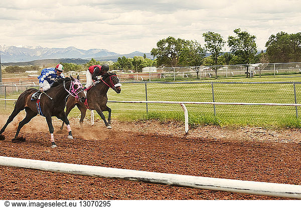 Jockeys riding horses at competition