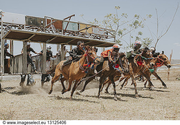 Jockeys riding racehorses during horse racing