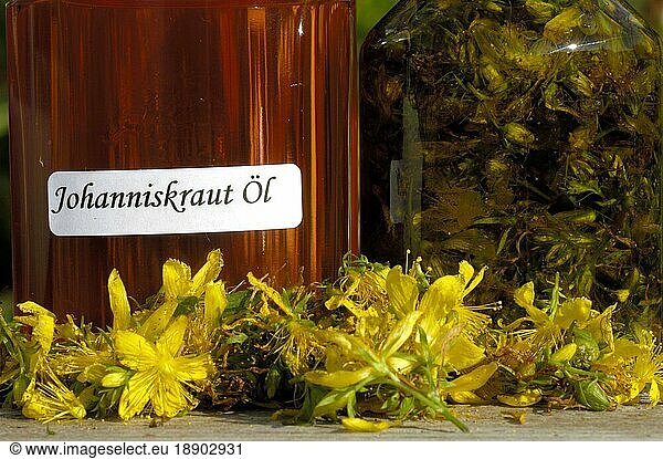 Johanniskrautöl  Tüpfeljohanniskraut  Echtes Johanniskraut (Hypericum perforatum)