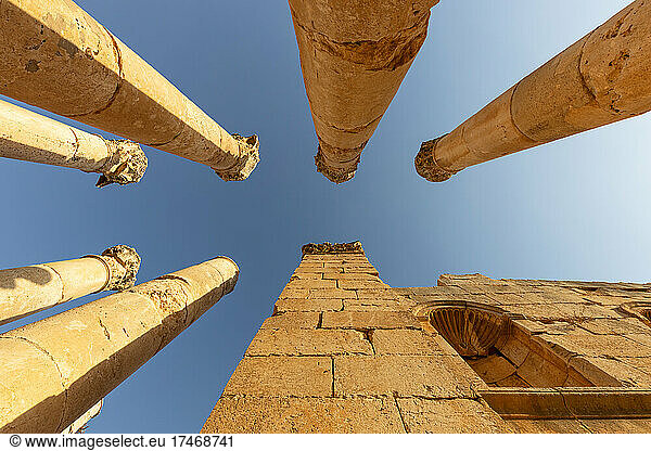 Jordan  Jerash Governorate  Jerash  Columns of Temple of Zeus