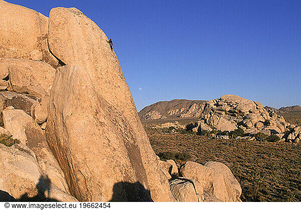Joshua Tree Nat. Park