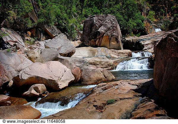 Jourama Falls  on Waterview Creek  Paluma Range National Park  Queensland  Australia. (Photo by: Auscape/UIG)
