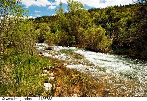 Jucar river  Huelamo  Serrania de Cuenca Natural Park  Cuenca province  Castilla-La Mancha  Spain