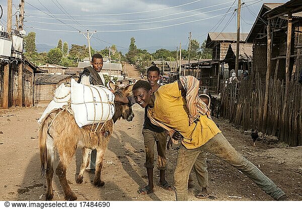 Jugendliche  Lastesel  Straße  Yirgalem  Äthiopien  Afrika