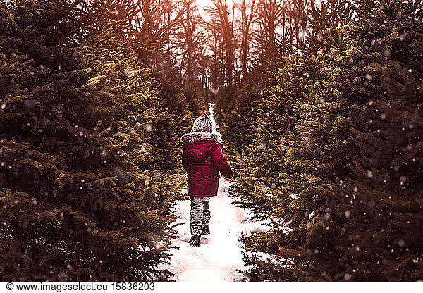Junge auf der Suche nach einem perfekten Weihnachtsbaum an einem verschneiten Wintertag