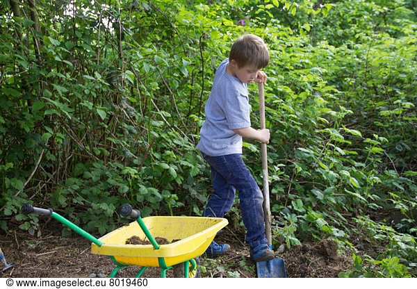 Junge beim Graben im Garten mit Spielzeugspaten und Schubkarre