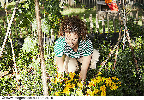Junge brünette Frau bei der Gartenarbeit