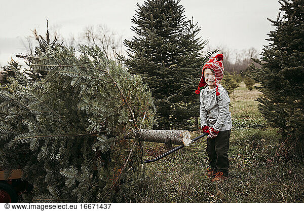 Junge  der einen Weihnachtsbaum auf einem Wagen auf einer Baumfarm zieht