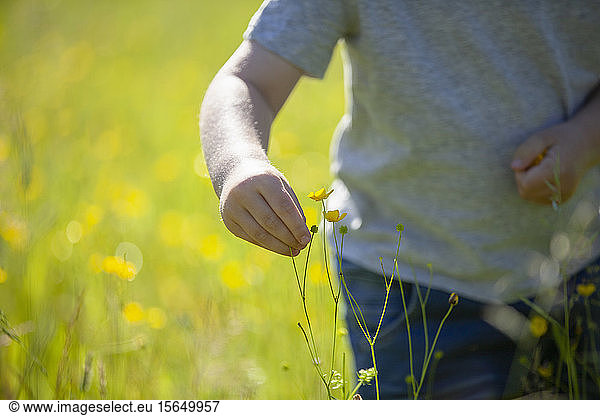 Junge entdeckt Blumen auf Wiesen