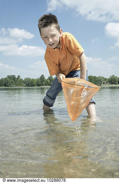 Junge fängt Fische mit einem Brailer im See  Bayern  Deutschland  Bayern  Deutschland