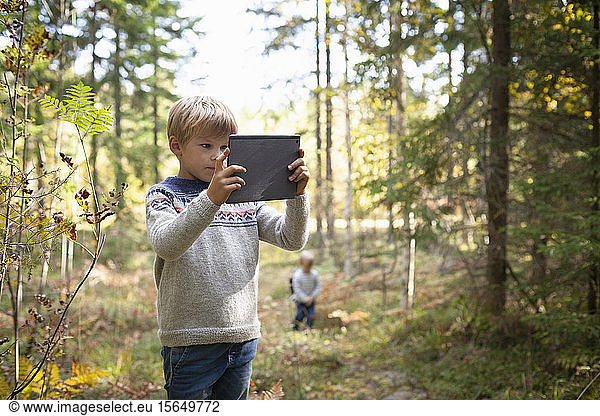 Junge fotografiert den Wald  Bruder folgt ihm